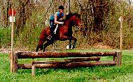 Cross Country Jumping Course